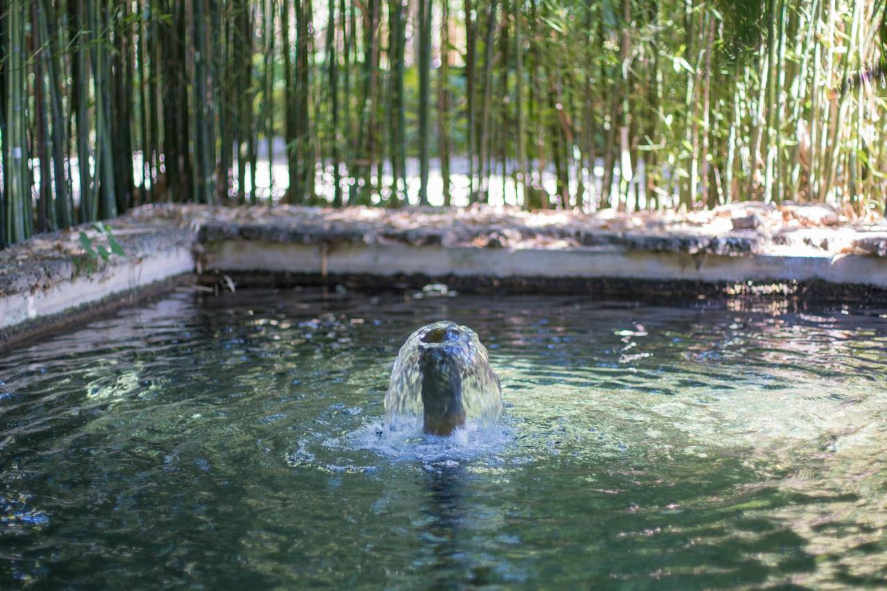 Las Aguas Del Arbuniel Con Pista De Padel Exteriér fotografie